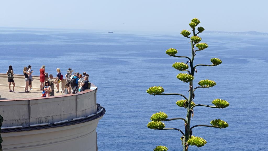 Chambre Chez L'Habitant Nice Baie Des Anges Bagian luar foto